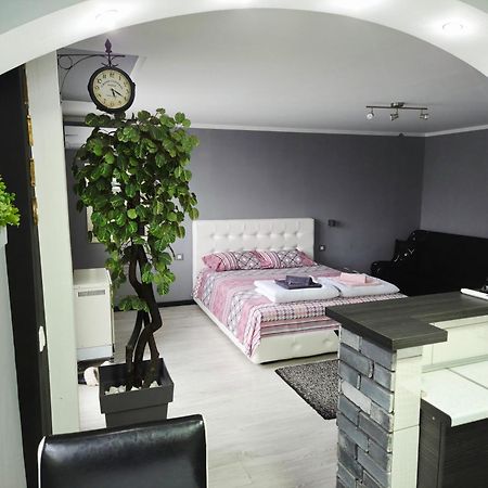 Savic Apartment Center - Parking Free Nis Exterior foto